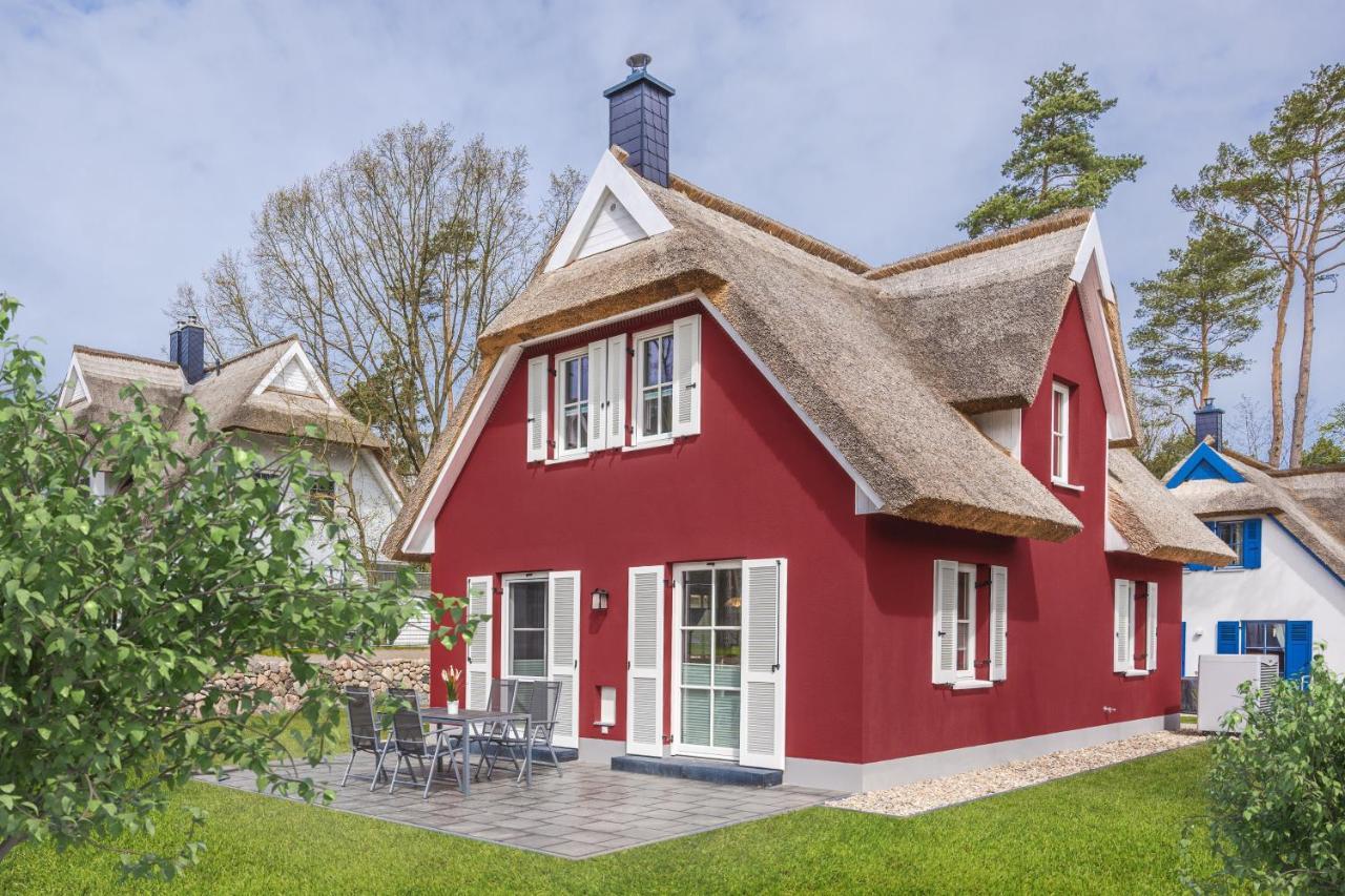 Reetdachhaus Am Haff Mit Sauna, Terrasse, Wlan Zirchow Exterior photo